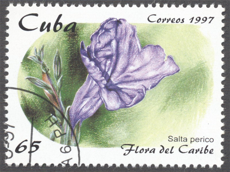 Flora del Caribe