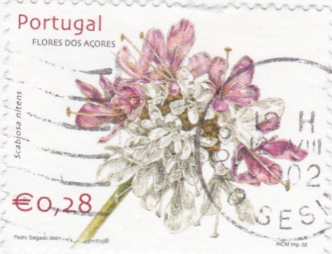 flores de las azores