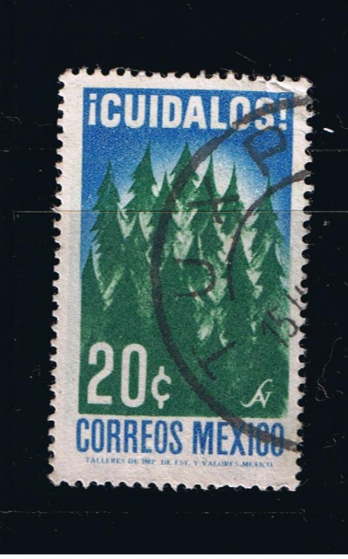 Cuídalos   Bosques