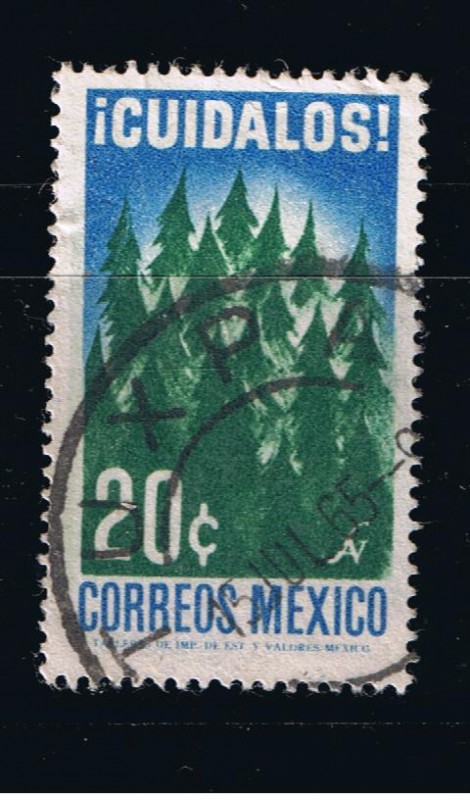 Cuídalos   Bosques