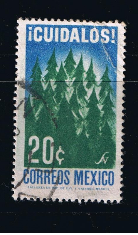 Cuídalos   Bosques