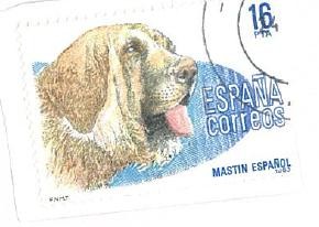 Perros de raza española