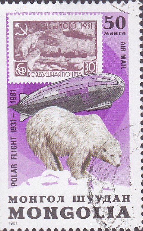 oso polar