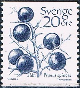 SERIE BÁSICA. FRUTOS. ENDRINO (PRUNUS ESPINOSA Y&T Nº 1210. RESERVADO