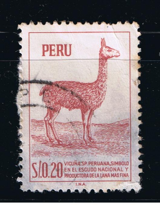 Vicuña. S.P. Peruana, símbolo en el escudo Nacional y productora de la lana mas fina.