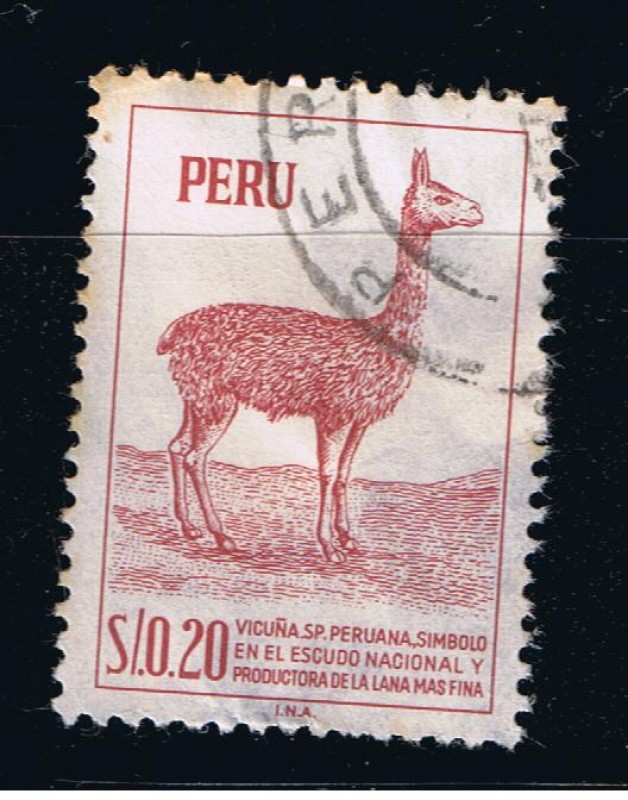 Vicuña. S.P. Peruana, símbolo en el escudo Nacional y productora de la lana mas fina.