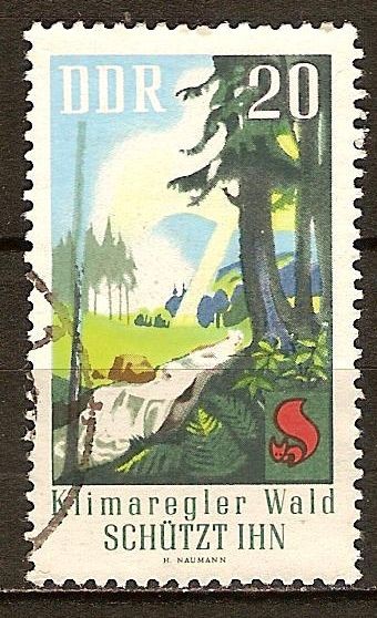 Protección forestal.Regulador de los bosques el clima lo protege-DDR.