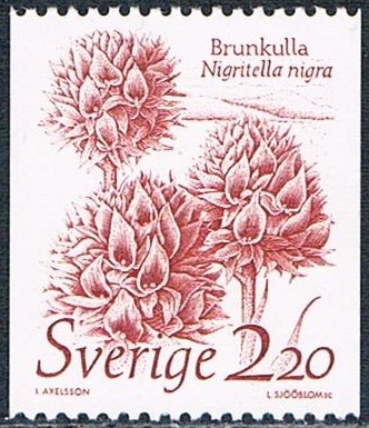 LA NATURALEZA VIVA. ORQUÍDEA NEGRA (NIGRITELLA NIGRA). Y&T Nº 1306