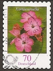 Flores de Alemania. Clavel de los cartujos.