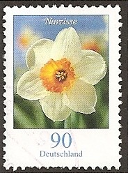 Flores de Alemania. Narciso.