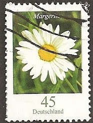Flores de Alemania. Margarita.