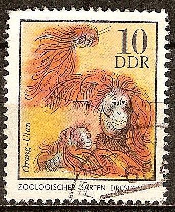 125 años del zoológico de Dresde