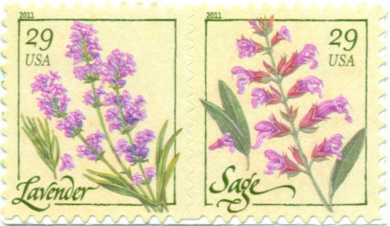 SELLOS DE DISPENSADOR - FLOR DE LAVENDER Y SAGE