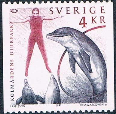 NORDEN'91. PARQUE ZOOLÓGICO KOLMARDEN, EN OSTERGOTLAND. ESPECTÁCULO DE DELFINES