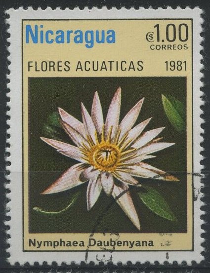 S1115 - Flores acuáticas