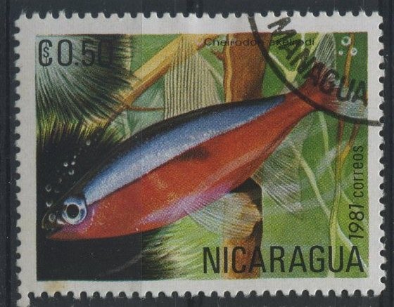 S1120 - Peces tropicales