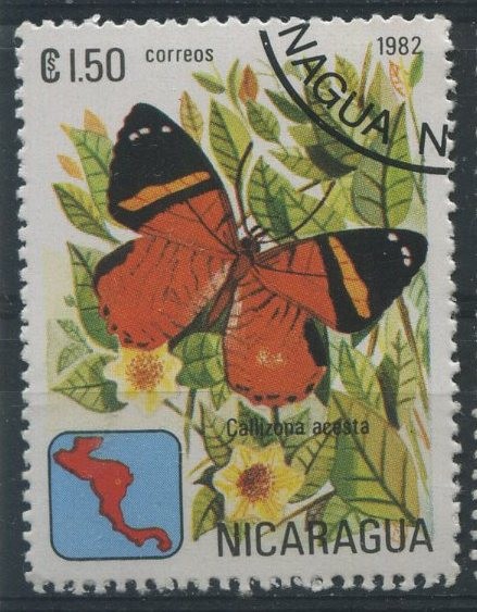 S1150 - Mariposas