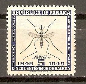 MOSQUITO   AEEDES   EGITY