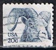 Scott  1949 Bighom Sheep (6)