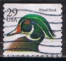 Scott  2485 Wood Duck (3)