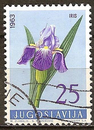 Flores: Iris