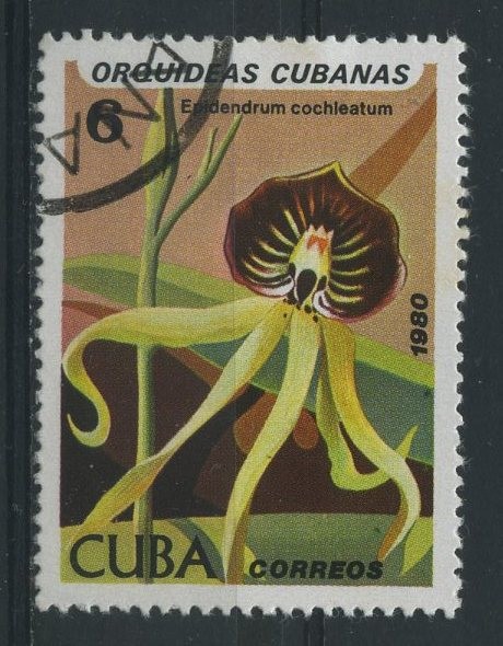 Orquídeas Cubanas