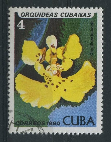 Orquídeas Cubanas