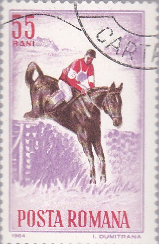 caballos