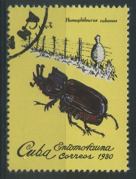 Entomofauna