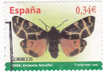 mariposa