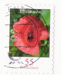 klauschmohn