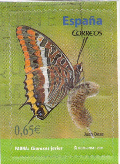 mariposa