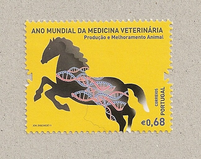 Año mundial de la medicina veterinaria