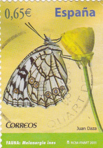 mariposa