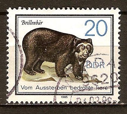 Animales en peligro de extinción(Oso de anteojos)DDR.