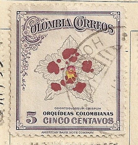 Orquideas Colombia