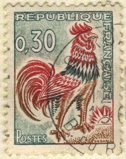 Gallo