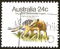 TASMANIAN TIGER