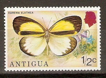 EUREMA   ELATHEA