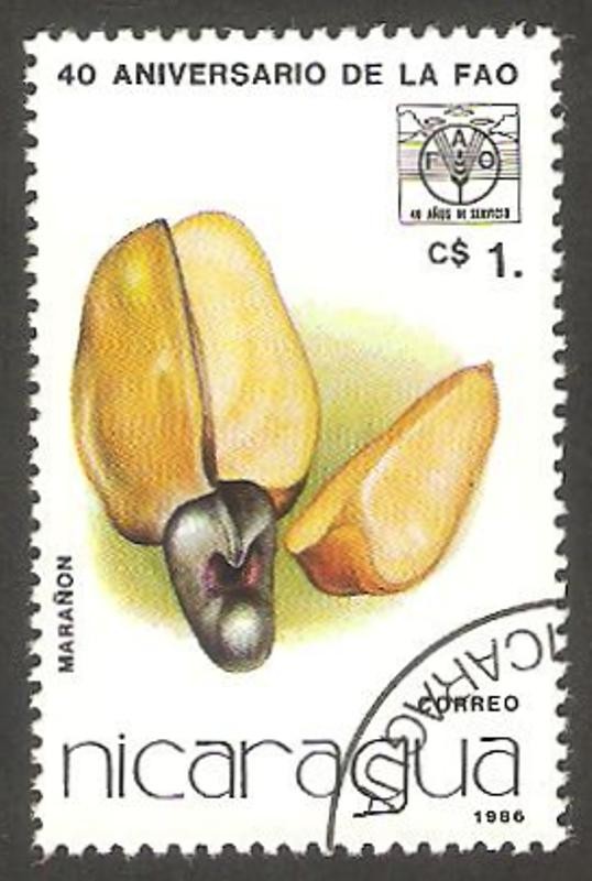 40 anivº de la FAO, marañon