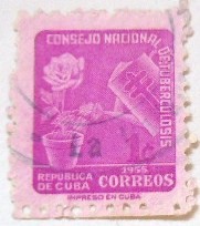 CONSEJO NACIONAL DE TUBERCULOSIS