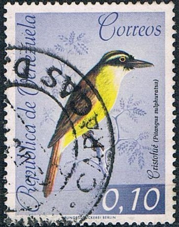 PÁJAROS DIVERSOS. CRISTOFUÉ (PITANGUS SULPHURATUS) Y&T Nº 661