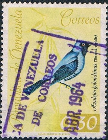 PÁJAROS DIVERSOS. AZULEJO GOLONDRINA (TERSINA VIRIDIS) Y&T Nº 664