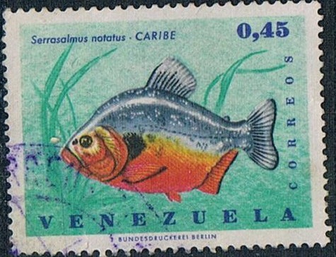 PECES DIVERSOS. CARIBE (SERRASALMUS NOTATUS). Y&T Nº 752