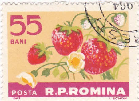 fresas