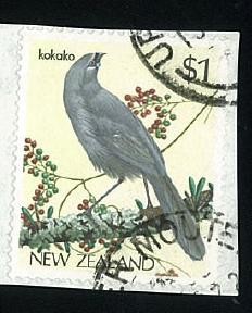 Kokako