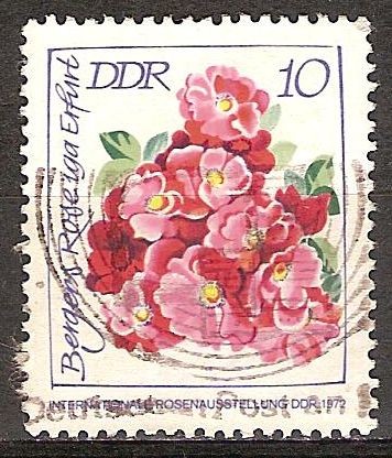 Exposición Internacional de Rosas,1972 en DDR-Berger Rose.