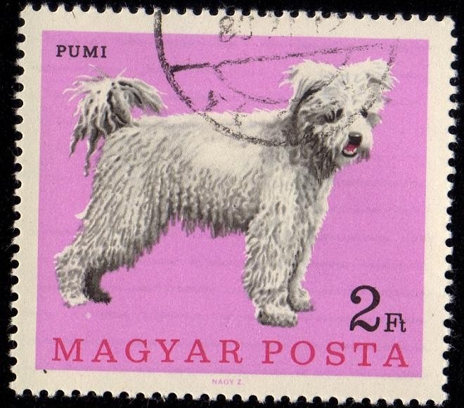 PUMI