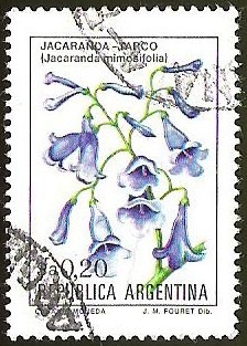 FLORES - JACARANDA - TARCO