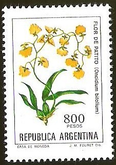 FLORES - FLOR DE PATITO